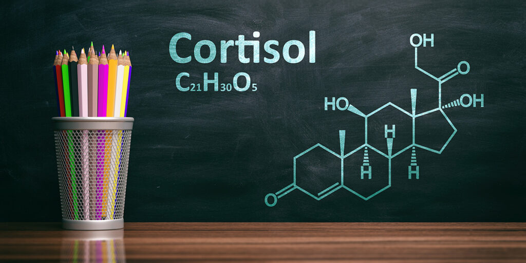 Cortisol verstehen: Warum dieses Hormon nicht einfach „Stress“ ist — und wie es deine Gesundheit wirklich beeinflusst